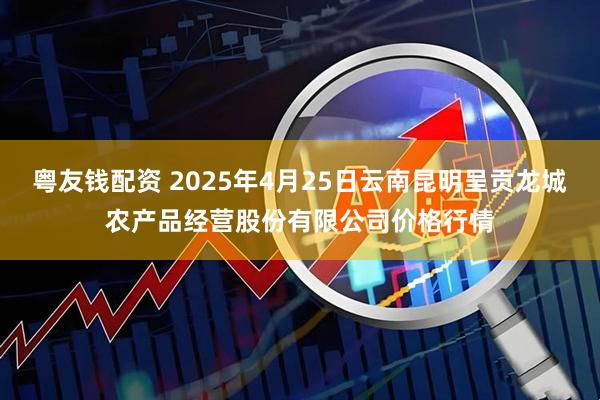 粤友钱配资 2025年4月25日云南昆明呈贡龙城农产品经营股份有限公司价格行情