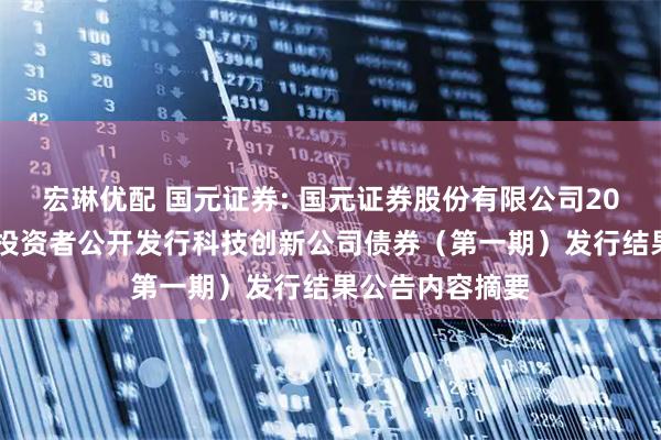 宏琳优配 国元证券: 国元证券股份有限公司2025年面向专业投资者公开发行科技创新公司债券（第一期）发行结果公告内容摘要