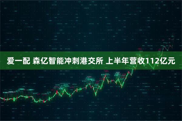 爱一配 森亿智能冲刺港交所 上半年营收112亿元