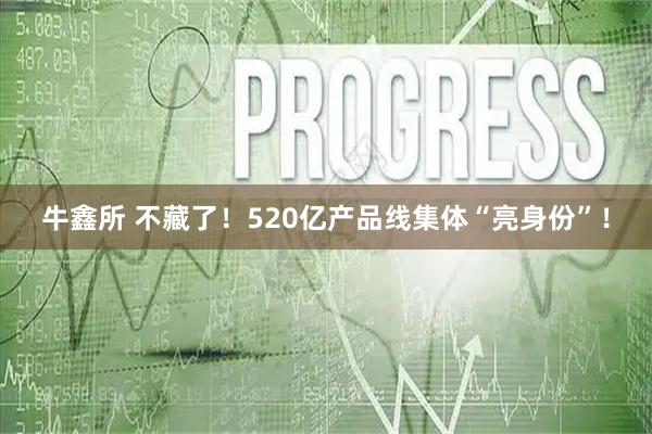 牛鑫所 不藏了！520亿产品线集体“亮身份”！