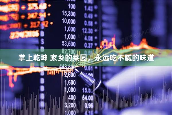 掌上乾坤 家乡的菜园，永远吃不腻的味道