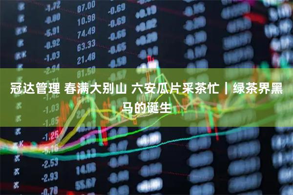 冠达管理 春满大别山 六安瓜片采茶忙｜绿茶界黑马的诞生